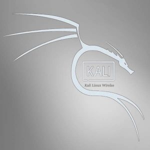 کتاب کالی لینوکس Kali Linux Wirelss
